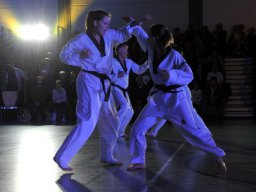 25 Jahre Taekwondo im TV Lauingen