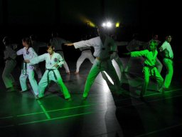 25 Jahre Taekwondo im TV Lauingen