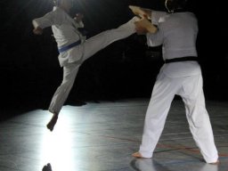 25 Jahre Taekwondo im TV Lauingen