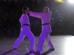 25 Jahre Taekwondo im TV Lauingen